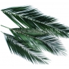 Искусственные и стабилизированные пальмовые ветки и листья